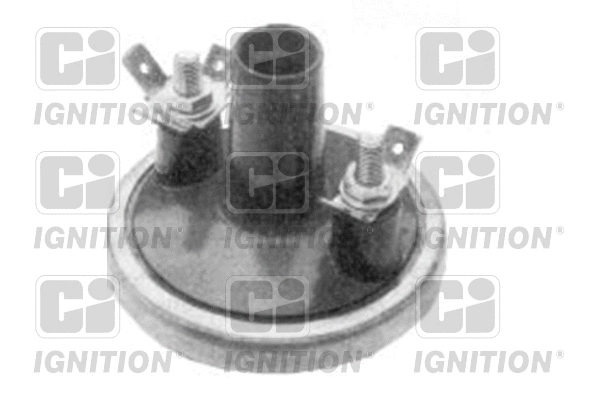Ignition Coil (XIC8093)
