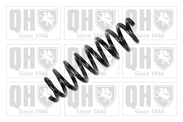 Suspension Spring (QCS7534)