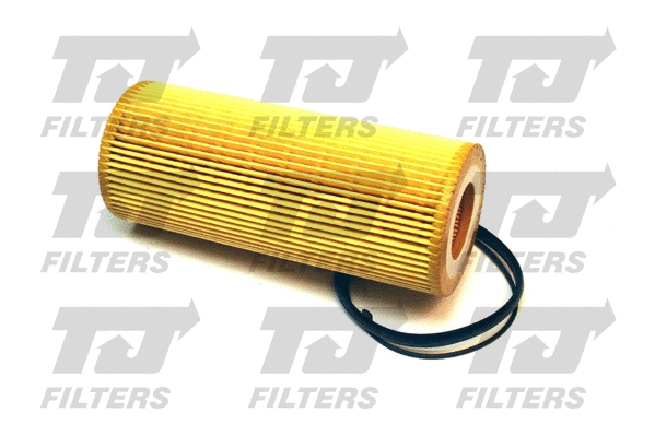 Oil Filter (QFL0122)