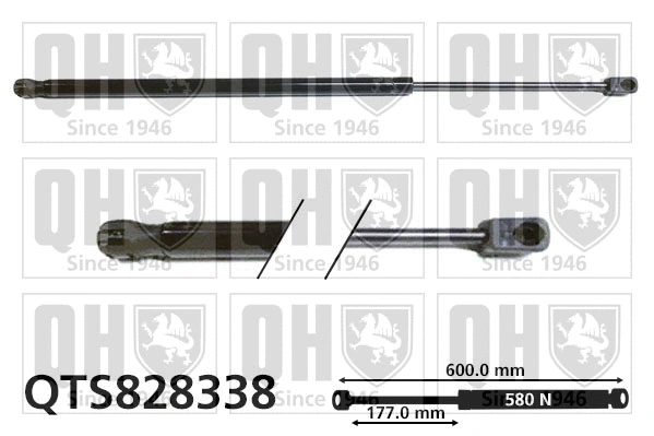 Gas Spring, boot/cargo area (QTS828338)