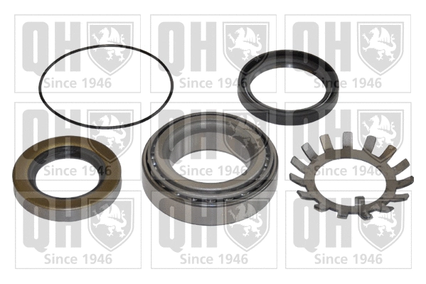 Wheel Bearing Kit (QWB748)