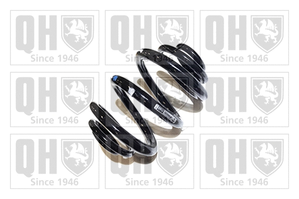 Suspension Spring (QCS6016)