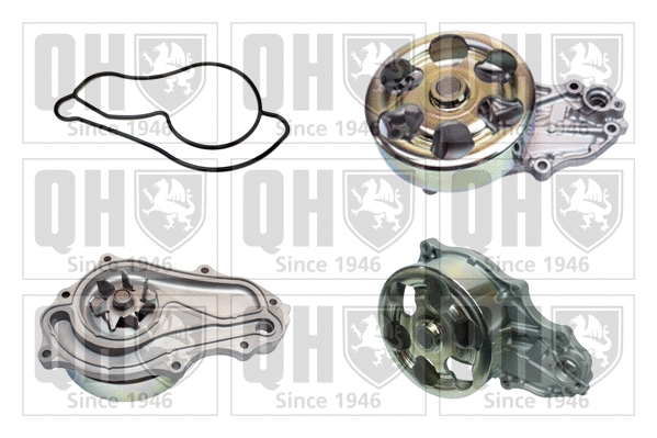 Water Pump, engine cooling (QCP3778)