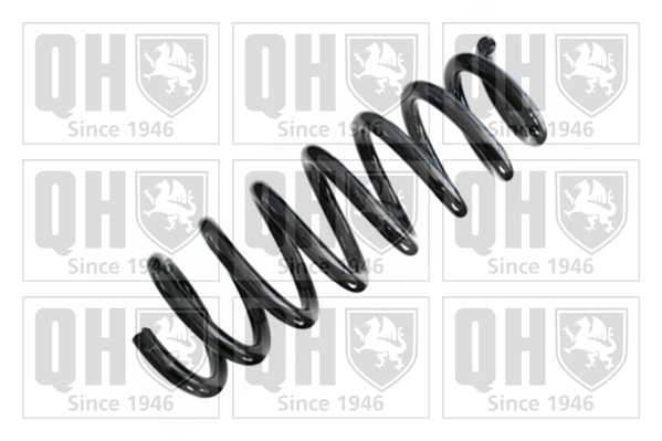 Suspension Spring (QCS8495)