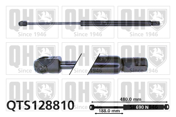 Gas Spring, boot/cargo area (QTS128810)