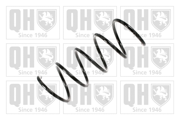 Suspension Spring (QCS7988)