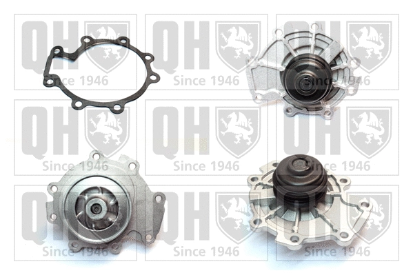 Water Pump, engine cooling (QCP3649)
