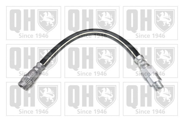 Brake Hose (BFH4719)