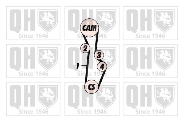 Timing Belt Kit (QBK409)