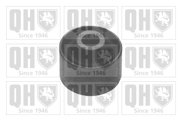 Mounting, control/trailing arm (EMS8481)