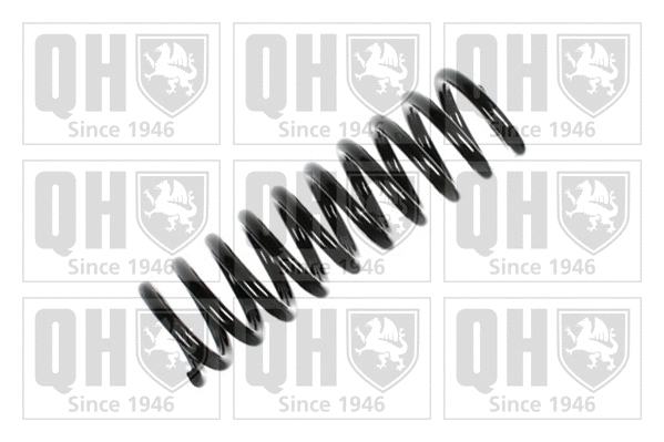 Suspension Spring (QCS6094)