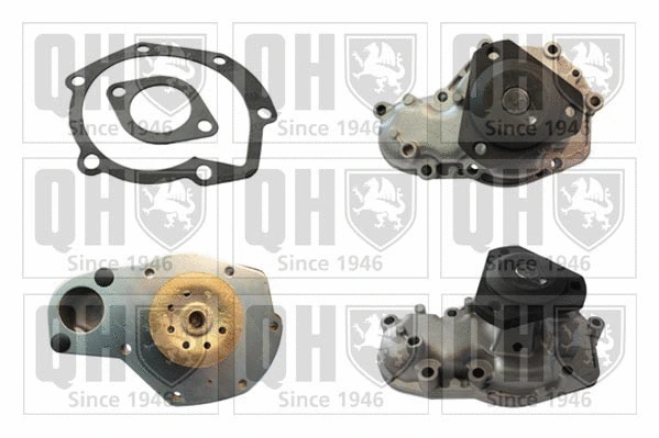 Water Pump, engine cooling (QCP3138)