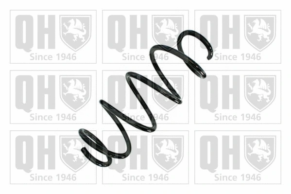 Suspension Spring (QCS9132)