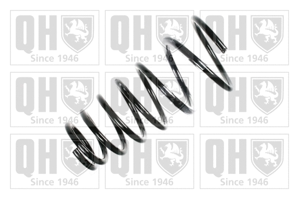 Suspension Spring (QCS5161)