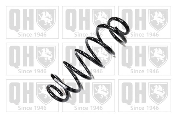 Suspension Spring (QCS6220)
