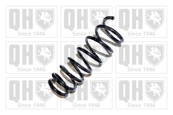 Suspension Spring (QCS6309)