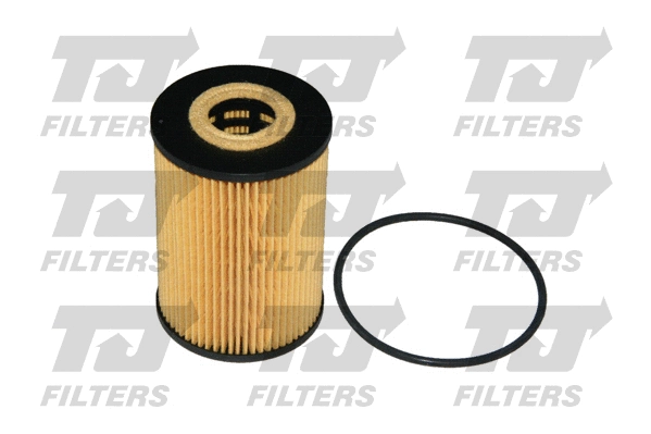 Oil Filter (QFL0225)