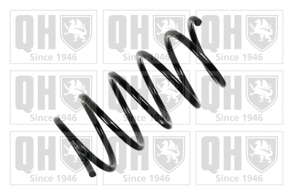 Suspension Spring (QCS8015)