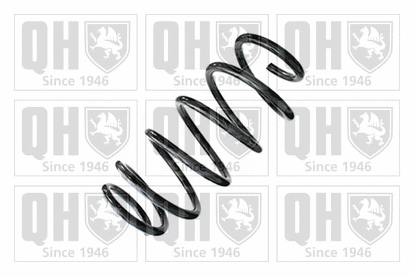 Suspension Spring (QCS8846)