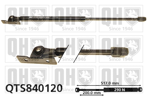 Gas Spring, bonnet (QTS840120)