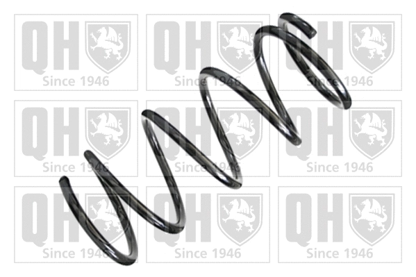 Suspension Spring (QCS7766)