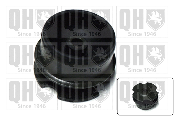 Mounting, engine (EM4194)