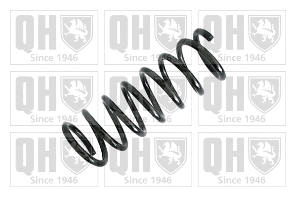 Suspension Spring (QCS7144)