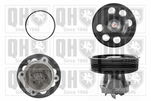 Water Pump, engine cooling (QCP3550)