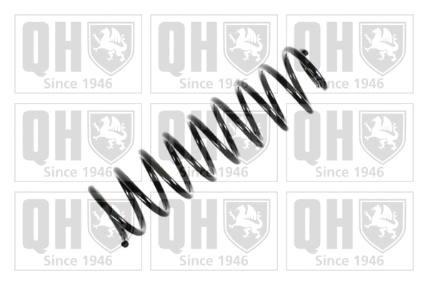 Suspension Spring (QCS6603)