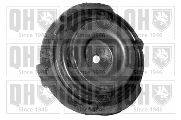 Suspension Strut Support Mount (EMR2283)