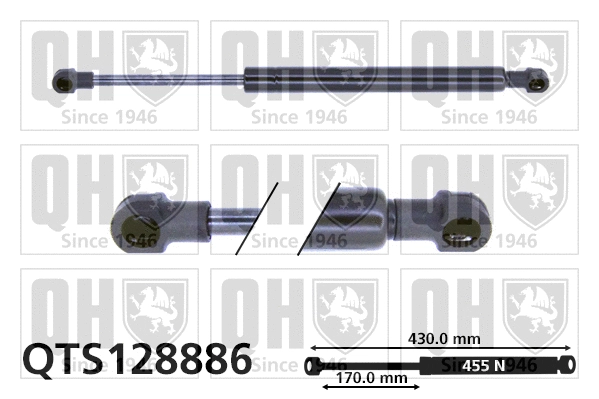 Gas Spring, boot/cargo area (QTS128886)