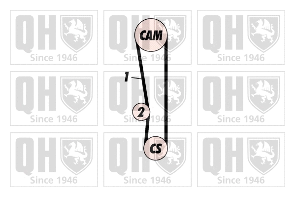 Timing Belt Kit (QBK435)