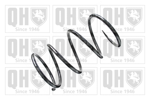 Suspension Spring (QCS6810)