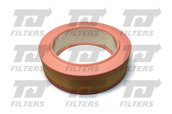Air Filter (QFA0430)