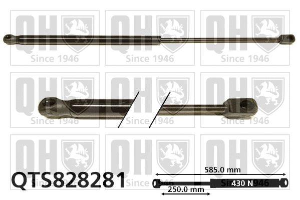 Gas Spring, boot/cargo area (QTS828281)