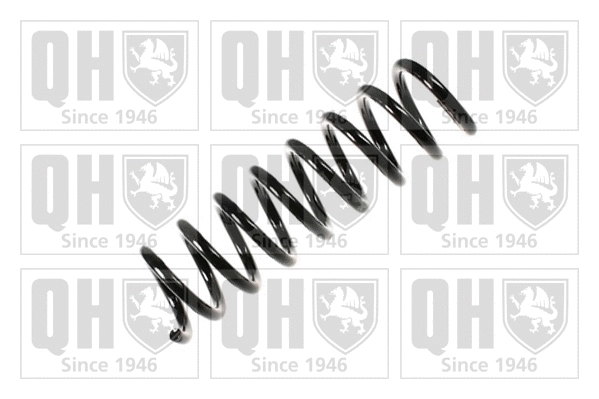 Suspension Spring (QCS5812)