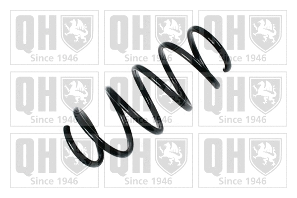 Suspension Spring (QCS5573)