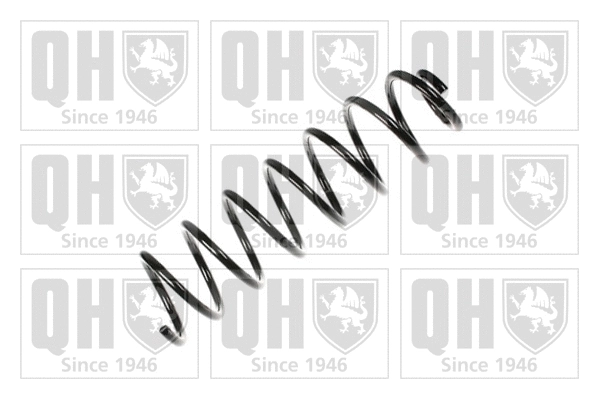 Suspension Spring (QCS6868)