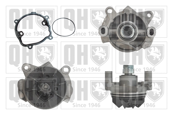 Water Pump, engine cooling (QCP3520)