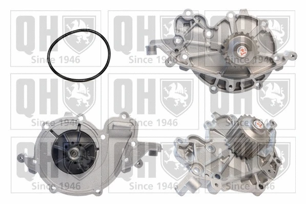 Water Pump, engine cooling (QCP3390)