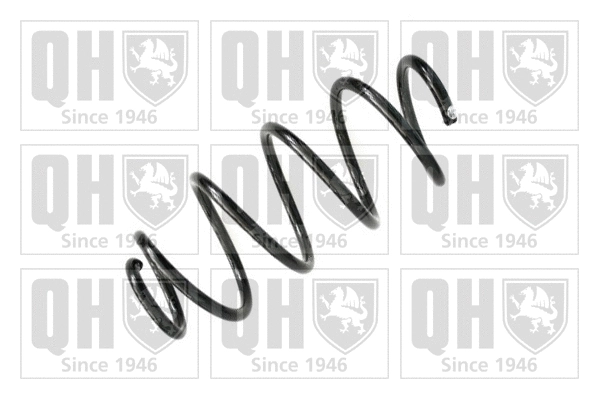 Suspension Spring (QCS6349)