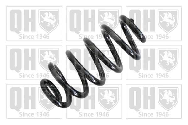 Suspension Spring (QCS8017)