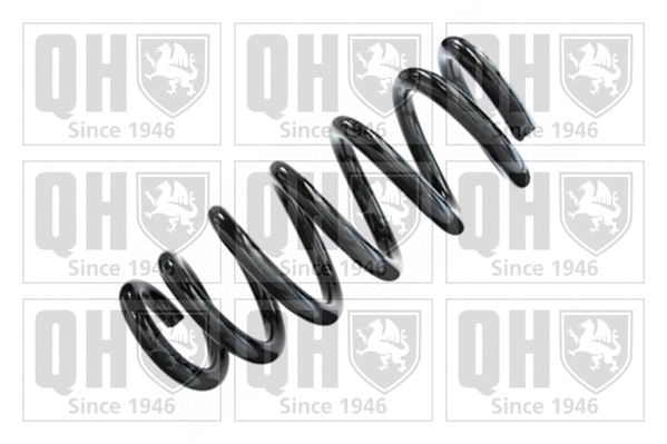 Suspension Spring (QCS5980)