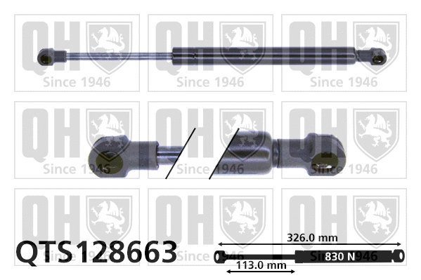Gas Spring, bonnet (QTS128663)