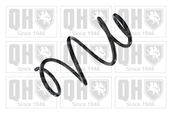 Suspension Spring (QCS8248)