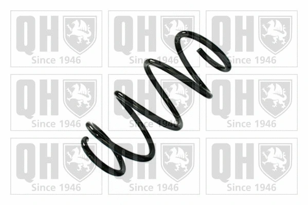 Suspension Spring (QCS9148)