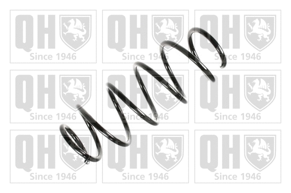Suspension Spring (QCS6625)