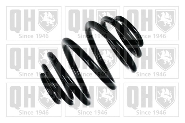 Suspension Spring (QCS6175)