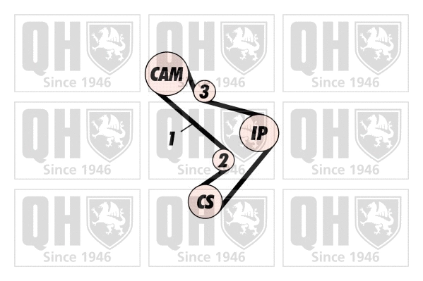 Timing Belt Kit (QBK161)