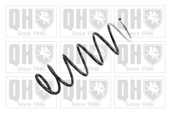 Suspension Spring (QCS7896)